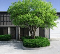 129-403 Exterior with Tree